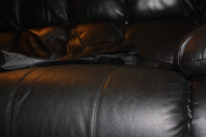 The couch